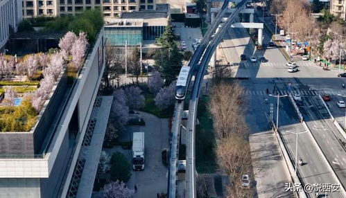 西安首条云巴日均客流破三万，下一条线路将驶向何方？