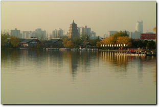 长安锦绣贺荣任，纯粹云端寄佳音——贺好友风云四起荣任松下FZ47版主